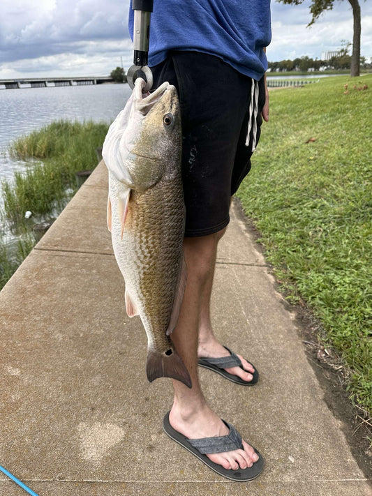 Texas Saltwater Fishing Guide: Best Spots, Lures & Setup Tips (2025 Edition)